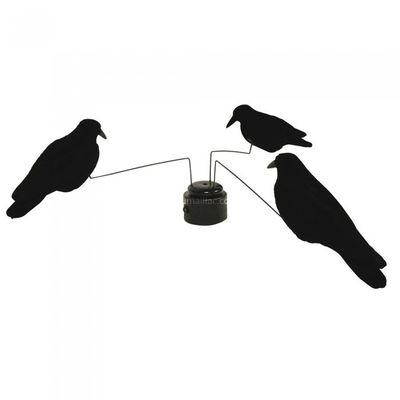 Trois corbeaux sur un fil