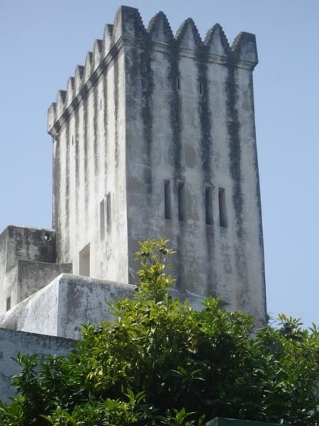 Album - Dar El Makhzen, jardin