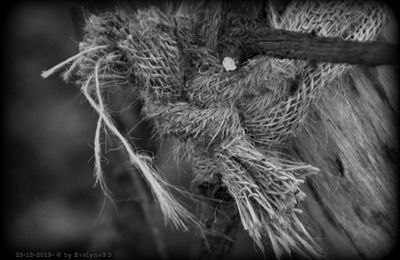 Sacs de noeuds.. Noeuds de jute...