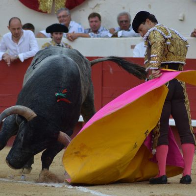 * Galerie Photos * Béziers 15 août, après-midi