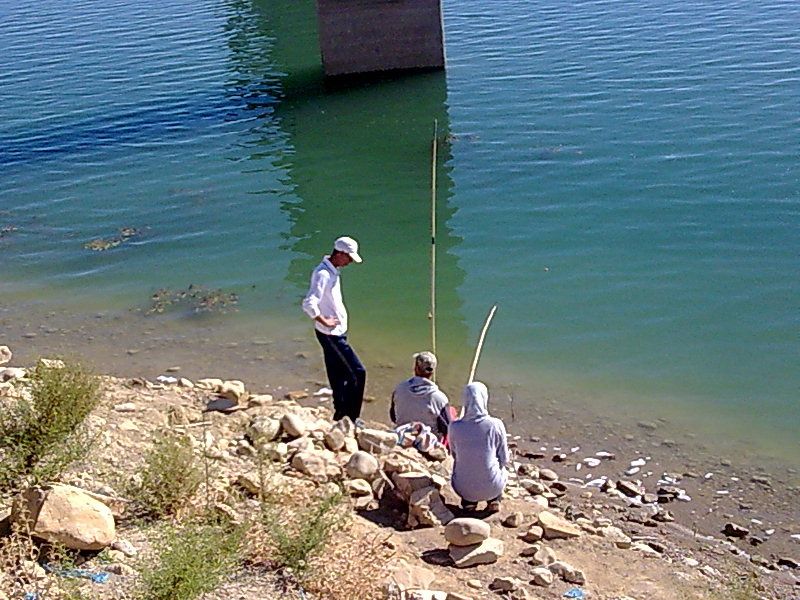 concours de pêche eau-douce sidi-abdelli 11/10/2011