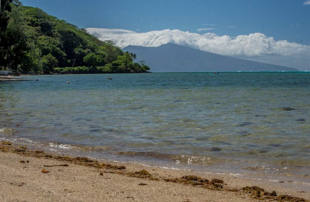 Côté mer : notre lagon. Dans ce secteur de l'île, on est pas ennuyé par une circulation excessive de bateaux...Plage super propre, seuls quelques débris végétaux normaux et des noix de coco. 