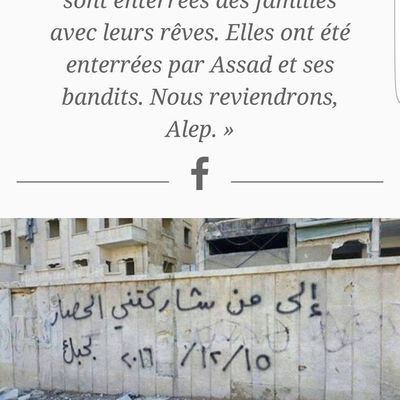 France - Alep (Syrie)