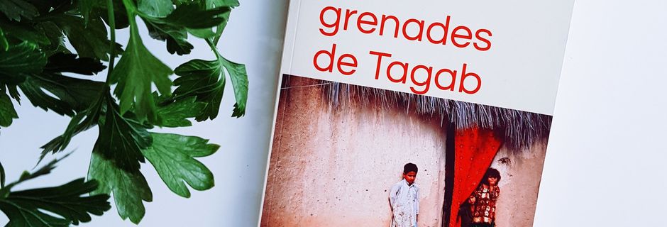 Les grenades de Tagab de Claire Dontot