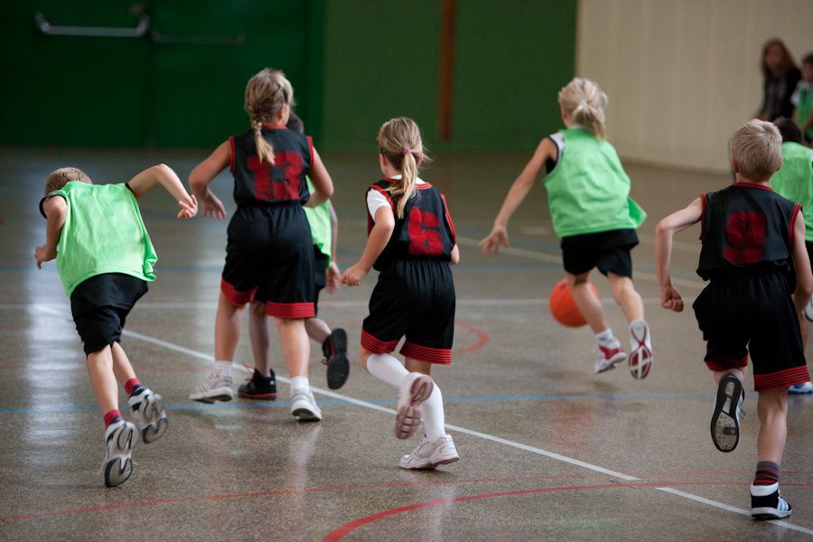 Diverses photos de l'équipe des mini-poussins de la saison 2009-2010