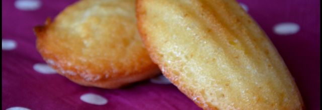 Madeleine sans Oeuf