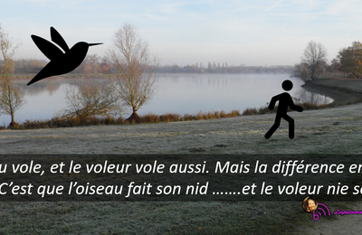 Le vendredi tout est permis 