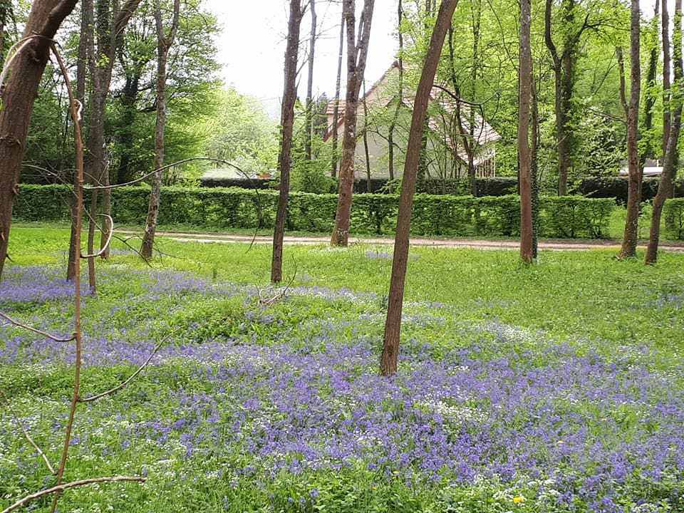 725. Dimanche 22 Avril : le Bois de la Barre.