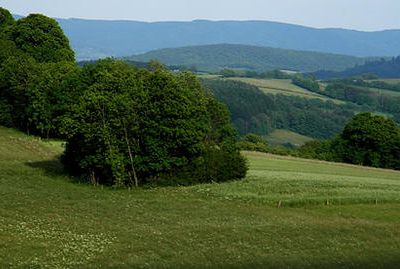 Le Parc du Morvan