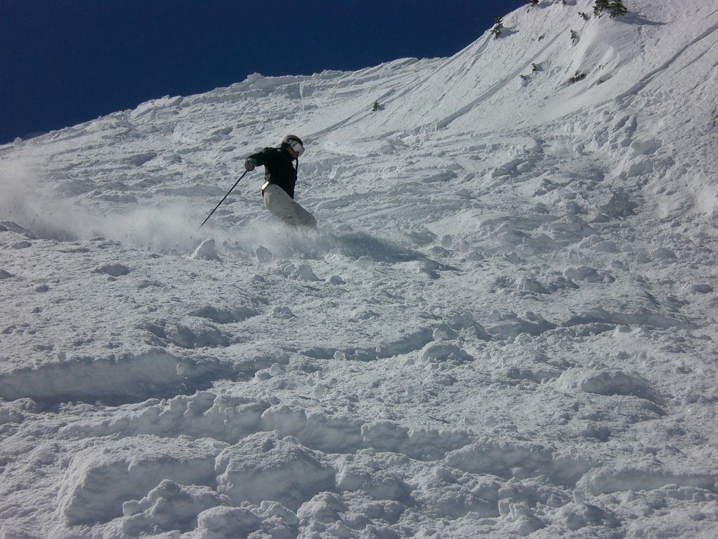 Snowbird. La station la plus réputée du pays, surtout pour sa poudreuse mythique! Seulement 50% des pistes sont dammées, les locaux crieraient au scandale autrement!