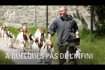 Rencontre magique avec les moines paysans de l'Abbaye de Hauterive