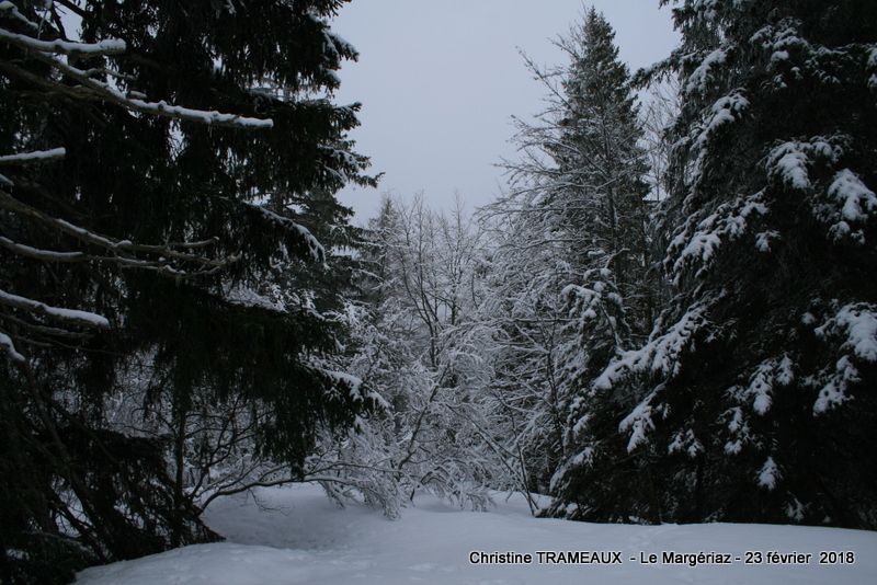 BAUGES - LES CRETES DU MARGERIAZ