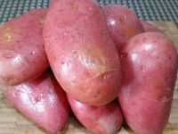 1 - Bien laver et essuyer les pommes de terre sans les éplucher. Verser dans un bol l'huile d'olive, peler et dégermer l'ail, l'écraser au presse-ail et l'incorporer à l'huile. Ajouter le piment (1 cuil.à café), du sel, du poivre et le thym égrainé. Retirer chaque extrémité des pommes de terre et les couper en tranches assez fines et les tomates en rondelles. 