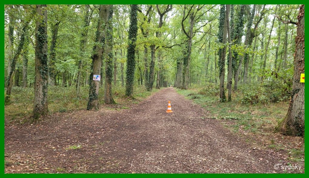 DIAPORAMA. Parcours Run2K