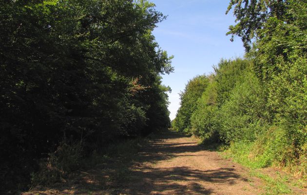 carrefour_Route du Pont de la Reine_Route de la Croix