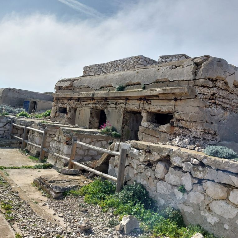 Portus mes aïgues (Pomègues)