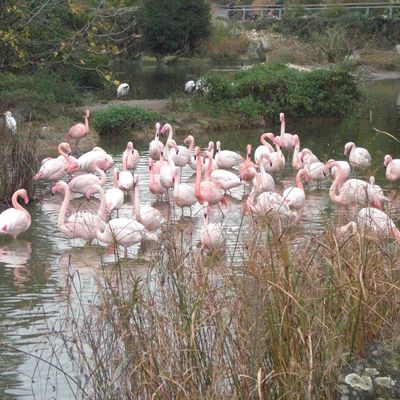 Semaine en Rhône Alpes