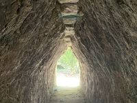 Sur le chemin du retour : Coba