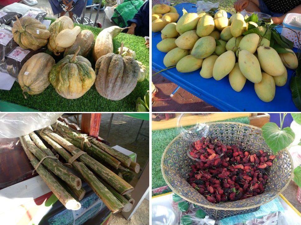 Foire au Centre de Formation Agricole du Wat Yan