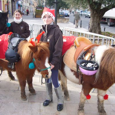 Animations de Noël : Mercredi 19 décembre ont débuté les premiers ateliers destinés aux enfants.  