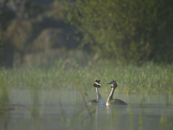 Entre deux averses