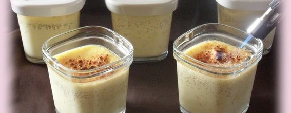 Crèmes brûlées rapide (multi délice)