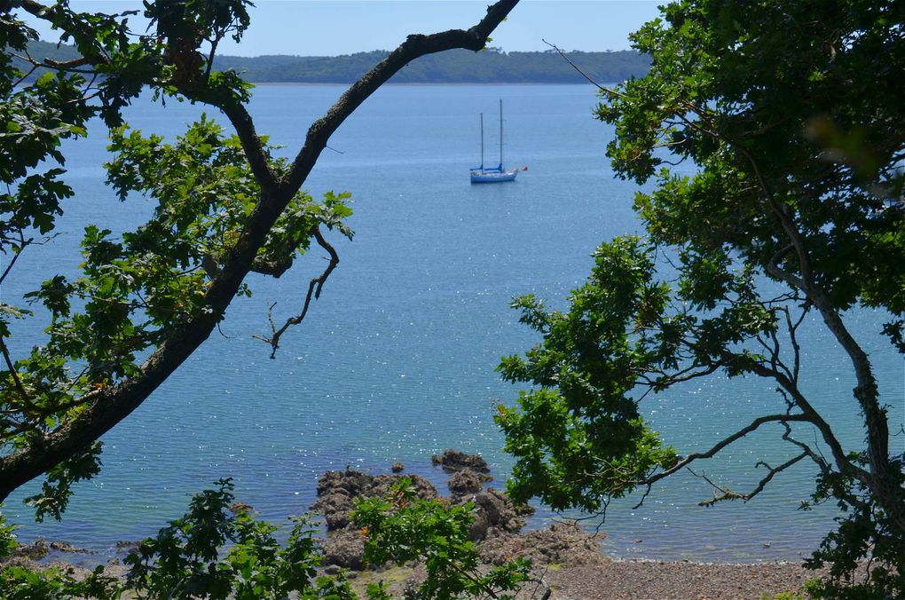 Bretagne, entre beauté sauvage et terre chargée d'histoires...