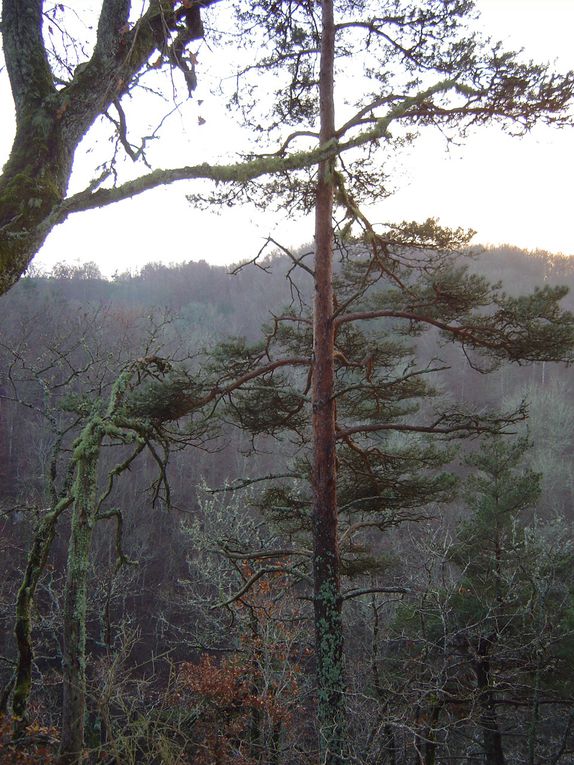 La région des Combrailles, au nord du Puy de Dôme, au printemps, été, automne. Début des années 2000.