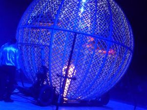 Le Grand Cirque De St Petersbourg {#Sortieaucirque}{#Cirque}