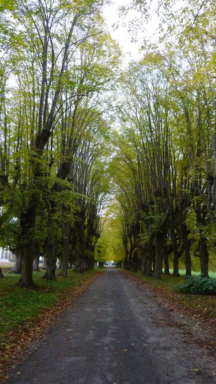 691. Jeudi 16 novembre : Jouarre-Les Corbiers.