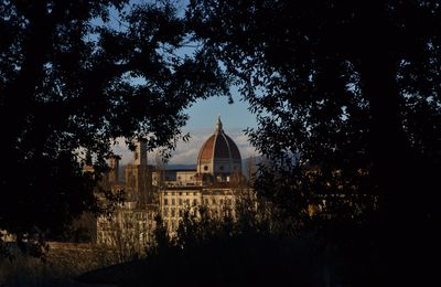 Notte dei Musei 17 Maggio 2014