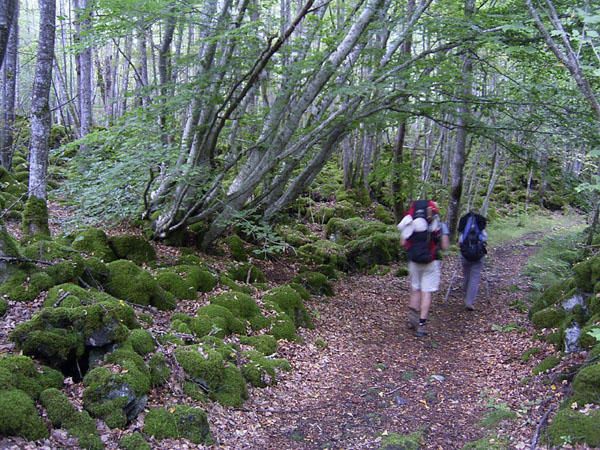 Notre randonn&eacute;e dans le parc des volcans d'Auvergne : 2 jours, 52km, de la pluie, des vaches, des ampoules, des crampes, de la pluie, du brouillard, des saucisses lentilles...Enormes souvenirs...