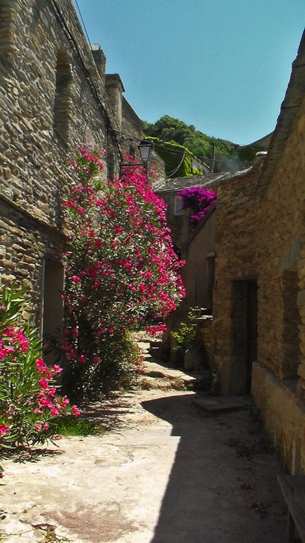 Ces photos ont été prises à Canelle, un petit village situé non loin de Century. Là bas, pas de voiture pour arpenter les ruelles typiques. Prenez une bonne paires de baskets et de quoi immortaliser ces paysages à couper le souffle qui vous font voyager et oublier les collègues ;) 