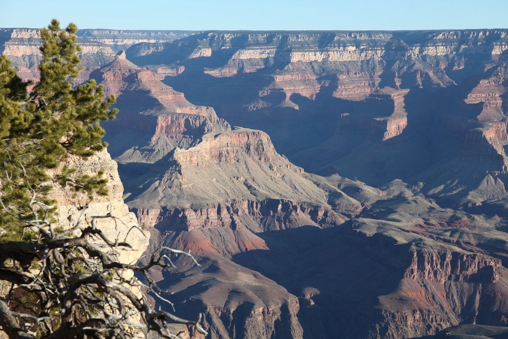 The road trip - Grand Canyon