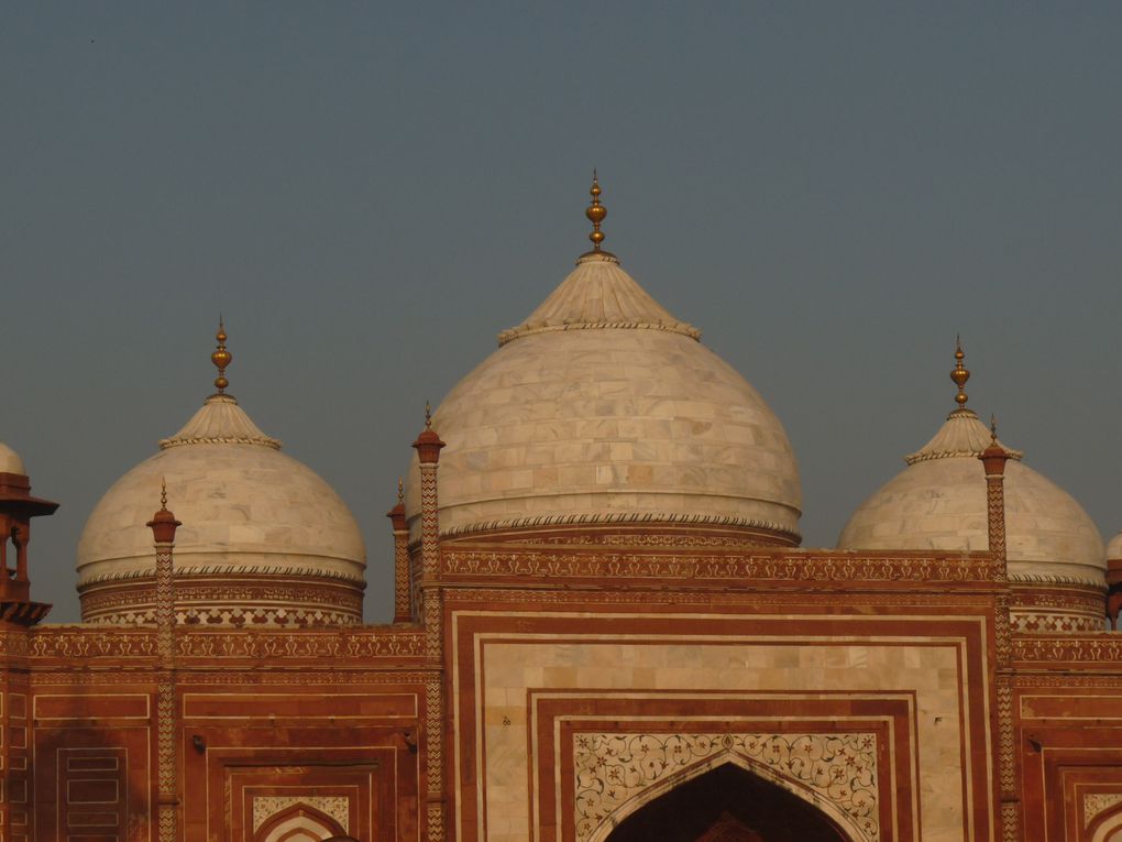 Album - AGRA-et-le-TAJ-MAHAL