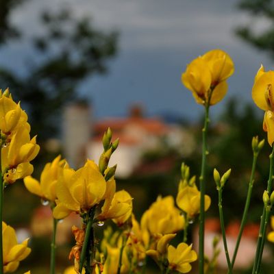 Montner après l'orage du 3 juin 2017