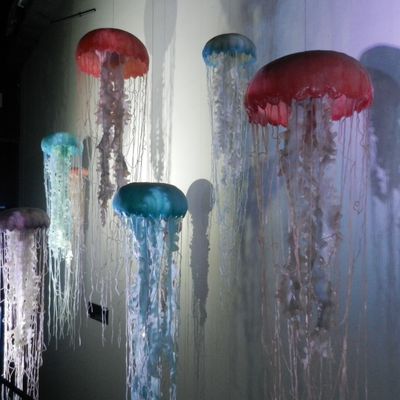 Jellyfish, une exposition, installation in situ de Micha Laury