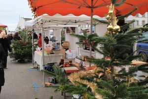 Marché de Noël, charmante flânerie à Audierne 