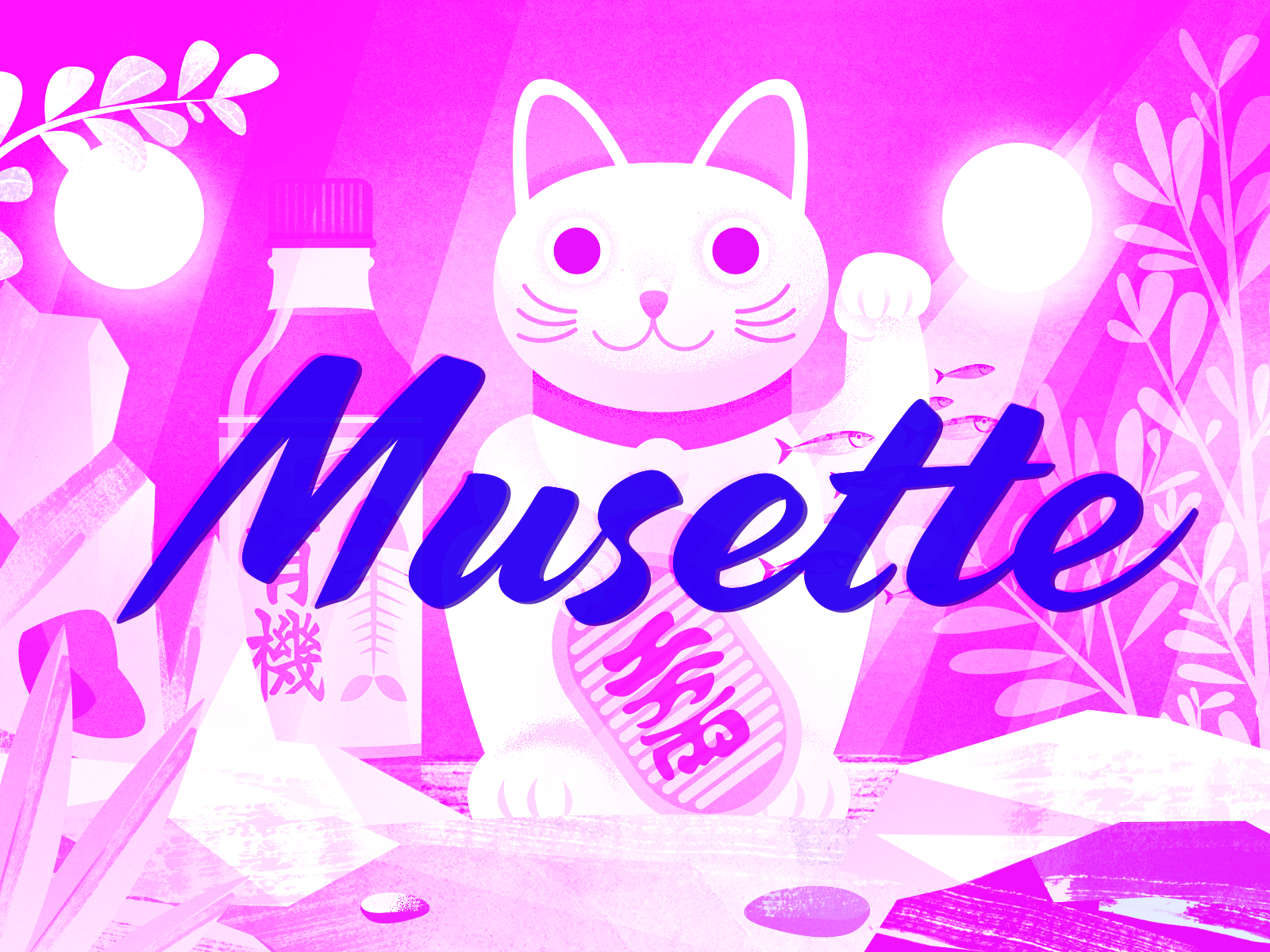 Musette _ Studio illustration / animation