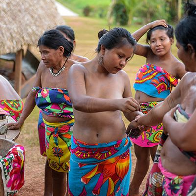 Une veille de fête, séance de tatouage de jagua pour les femmes Embera