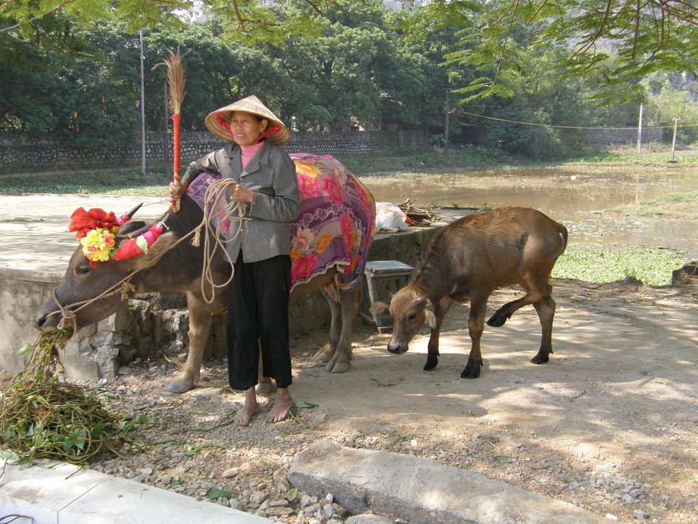 Circuit du Vietnam au Cambodge