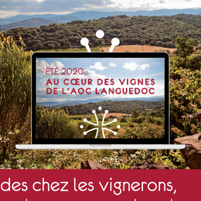 Au cœur des vignes de l'AOC Languedoc