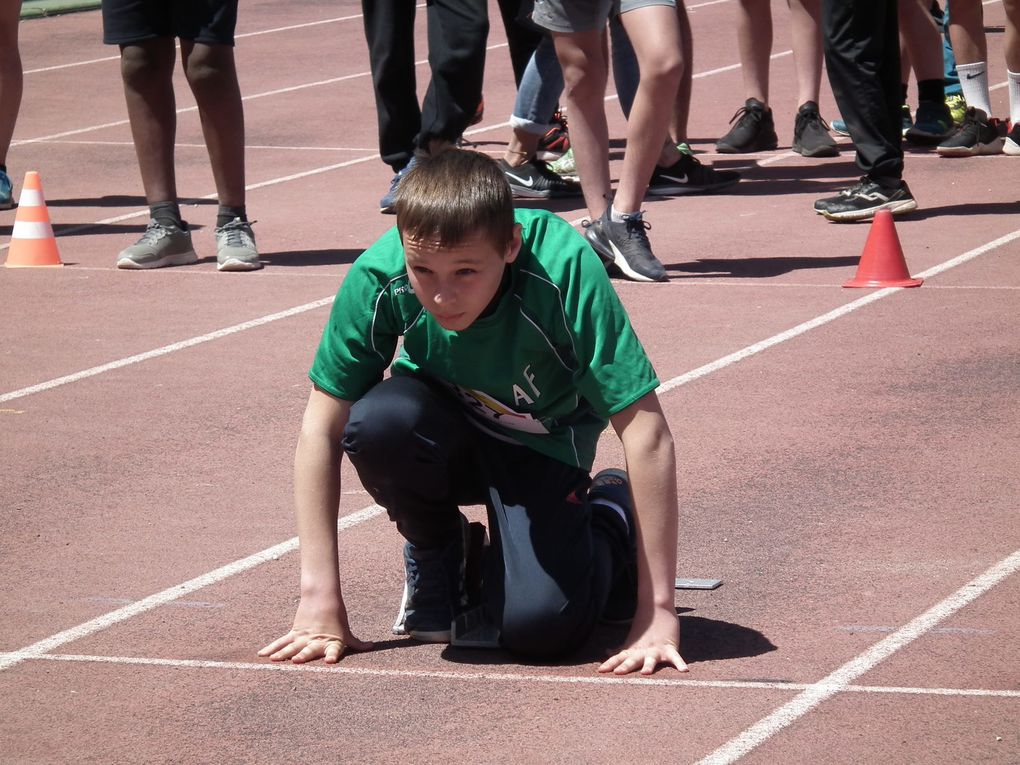 Athlétisme: champions!