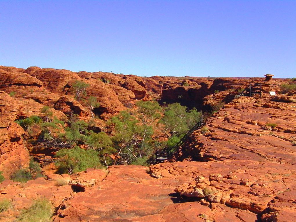 Album - The-Ultimate-Oz-Experience-2--Outback--The-Olgas---Ayers-Rock---Kings Canyon