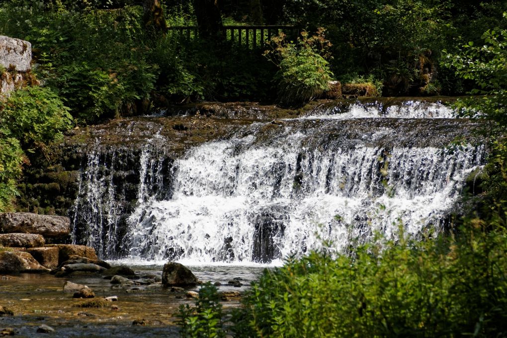 Cascades d'une petite rivière du Jura