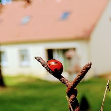 CONFIANCE, JE SUIS MOI