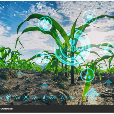 Étude : deux petits changements qui pourraient transformer l'agriculture