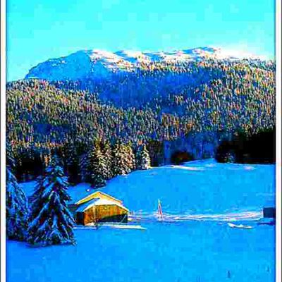 Paysage de neige - Les Alpes