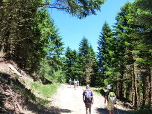 Les mille marches Langlade Juin 2016