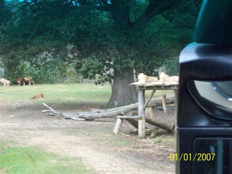 Partagez avec nous quelques-unes sorties réalisées cette année : Le bois de Creuse, la ferme d'antan, le parc de Thoiry, le voyage à Canterbury en Angleterre...